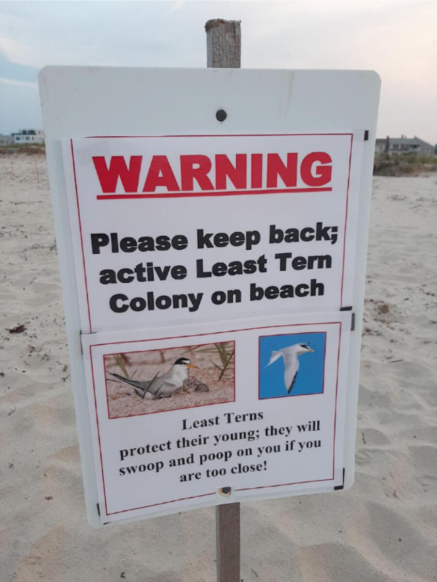Maine Audubon Sign to protect Least Terns in Oregon