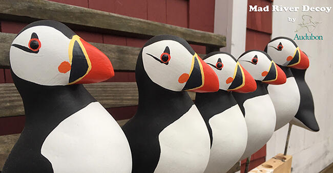 Mad River Decoys Puffins New Small Mad River Decoys Puffins New Small