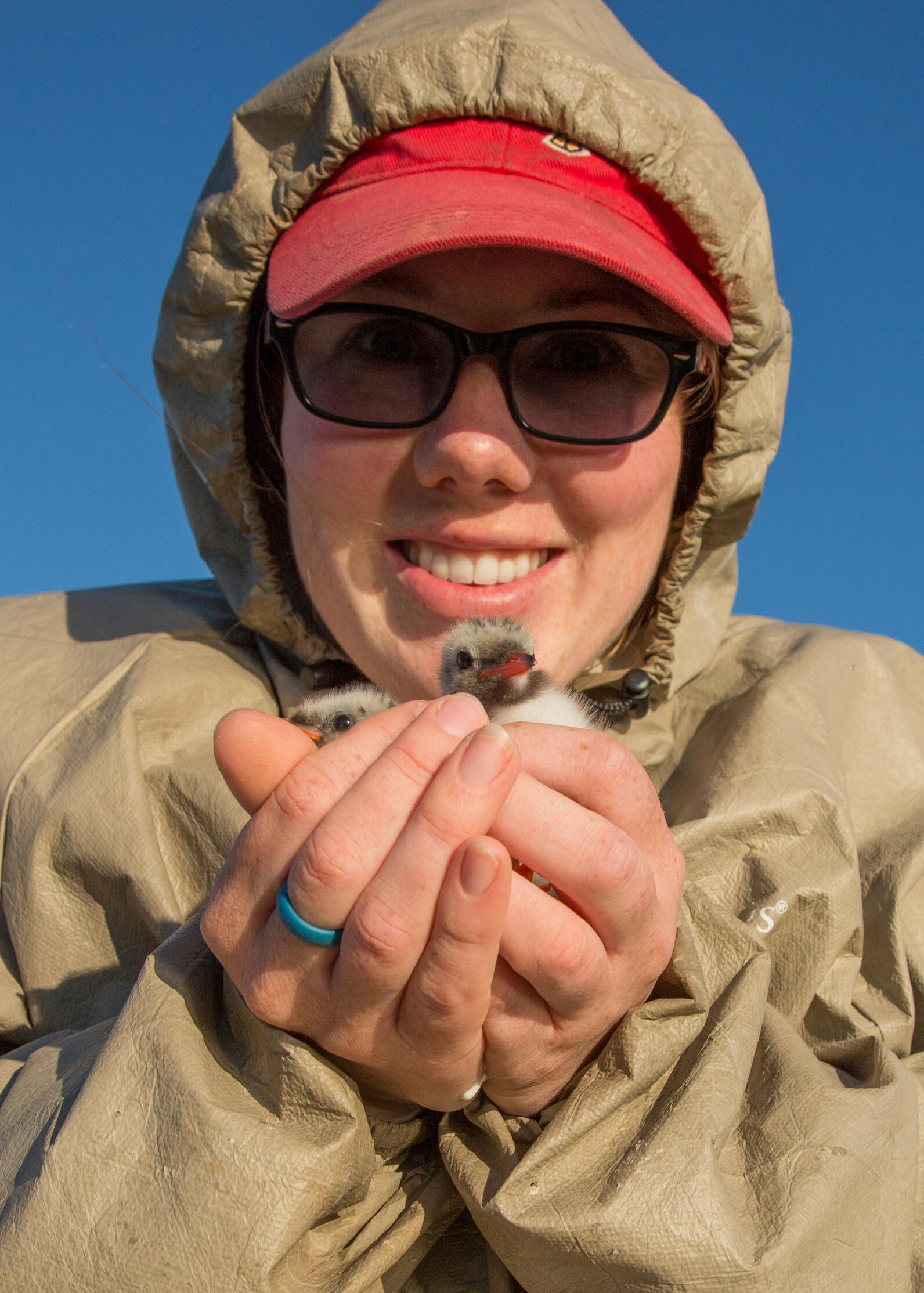 Matinicus Rock Researcher with Chick