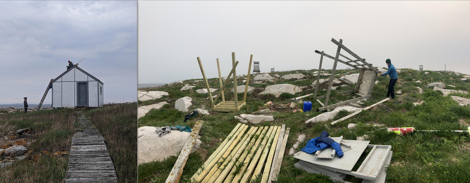 Matinicus Rock Repairs and Seal Island Blind Building