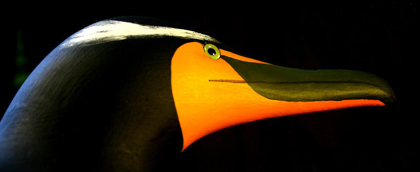 Order Page Cormorant Photo with Logo Order Page Cormorant Photo with Logo