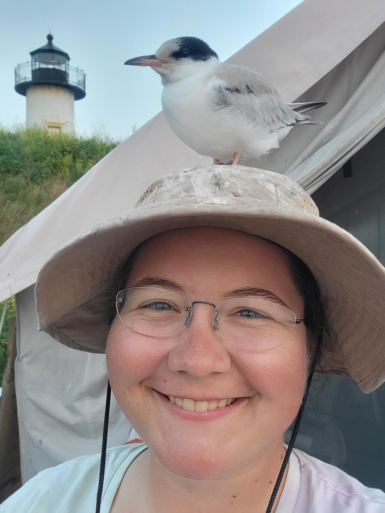 Theresa Rizza and Common Tern fledgling Theresa Rizza and Common Tern fledgling