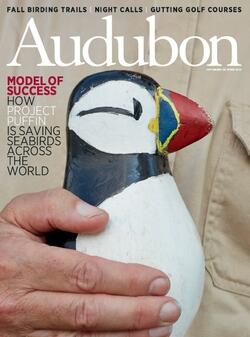 Project Puffin on Audubon Magazine Cover