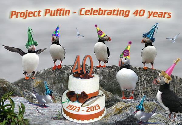 Puffin 40th Anniversary Party Puffin 40th Anniversary Party