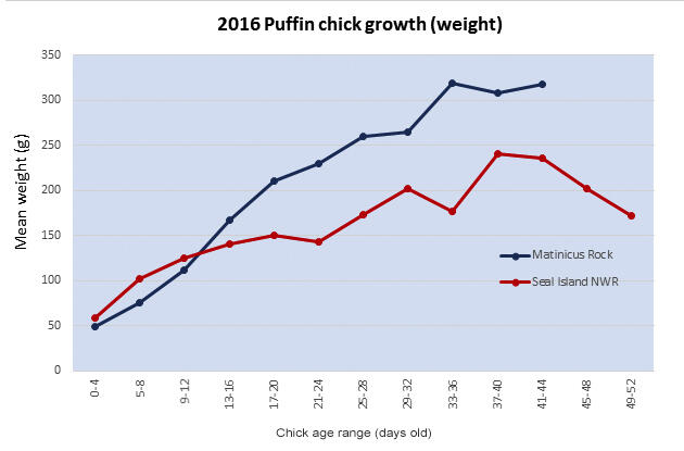 Puffin Chick Growth in Weight Puffin Chick Growth in Weight