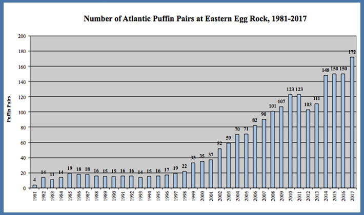 EER Puffin Pairs Graph 2017