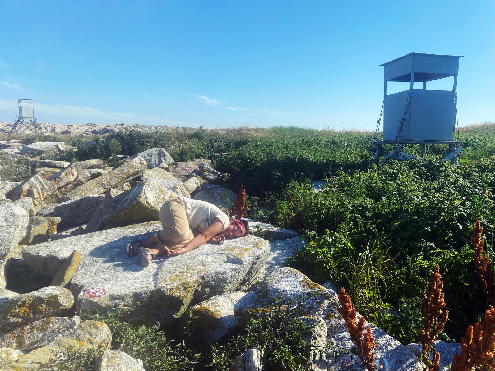 Seal Island Researcher Exhaustion Seal Island Researcher Exhaustion