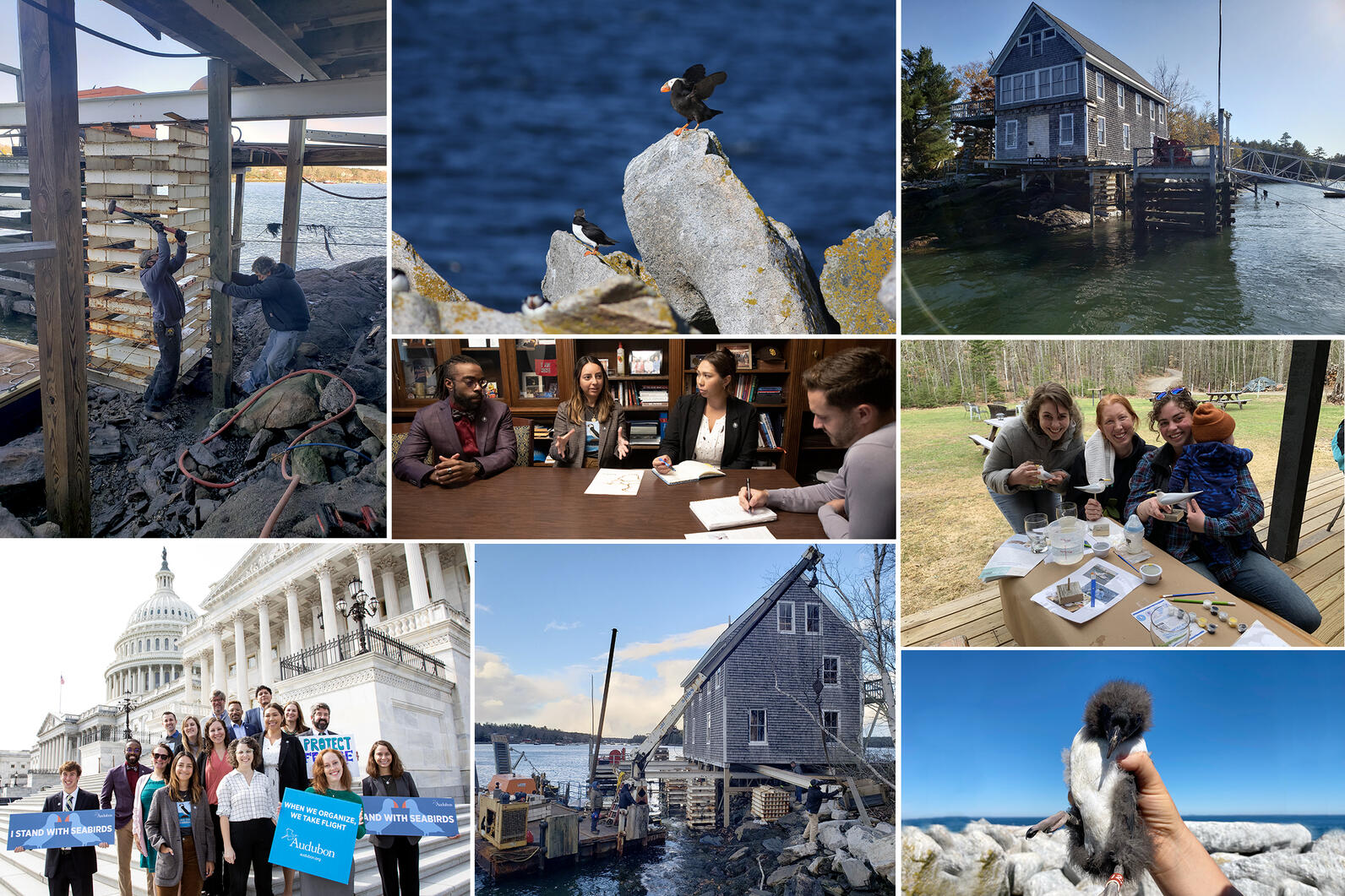 Seabird Institute Wrap Up Collage 2022