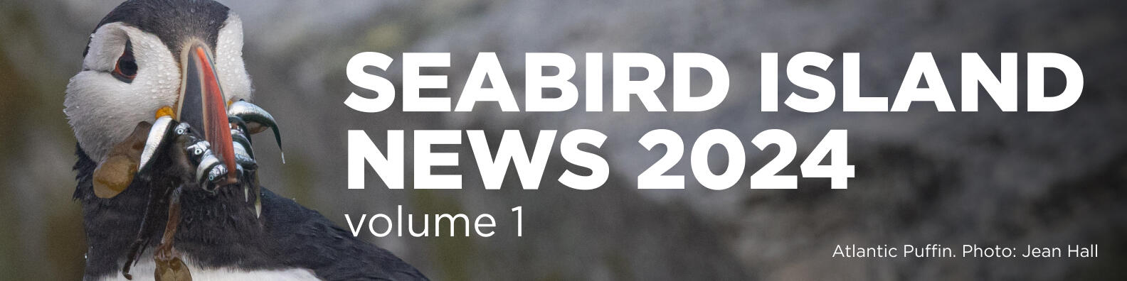 Seabird Island News Banner - Volume 01