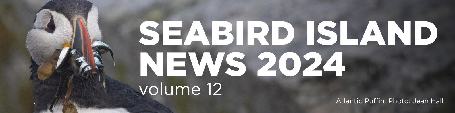 Seabird Island News Banner - Volume 12