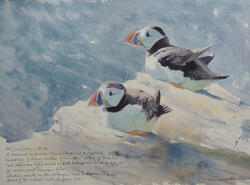 Tim Wootton Art - Two Puffins