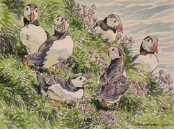 Tim Wootton Art - Puffin Group Tim Wootton Art - Puffin Group