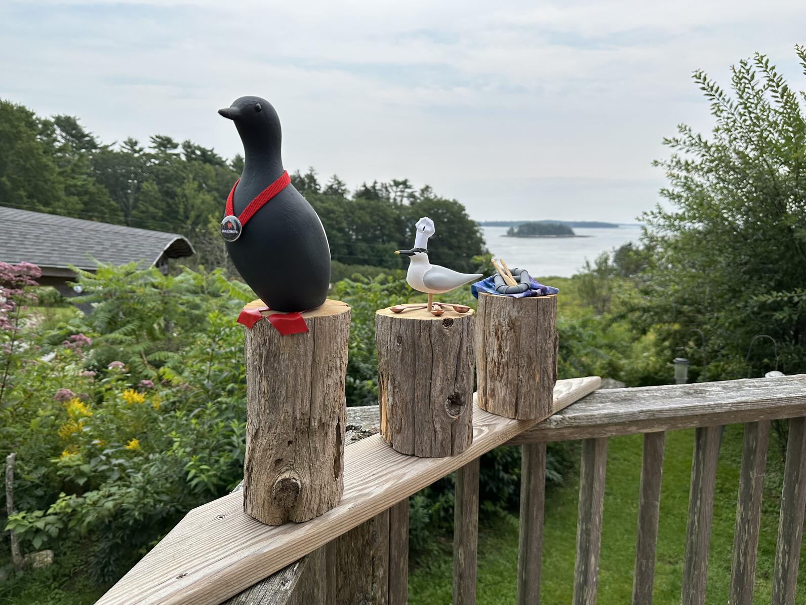 Trophies for the 2023 winners of our Seabird Island Challenges Trophies for the 2023 winners of our Seabird Island Challenges