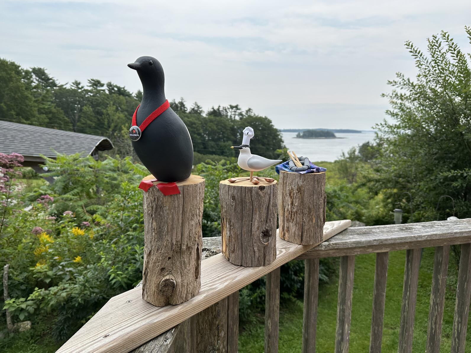 Trophies for the 2023 winners of our Seabird Island Challenges