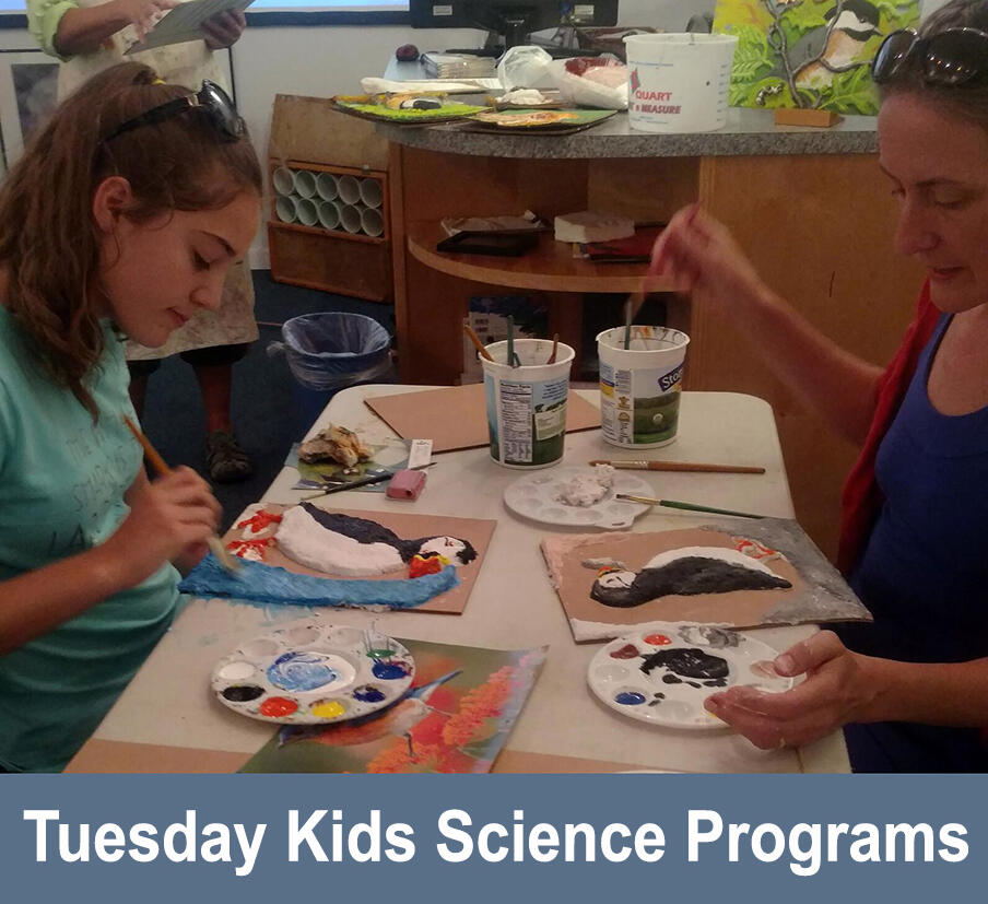 Tuesday Kids Science Programs