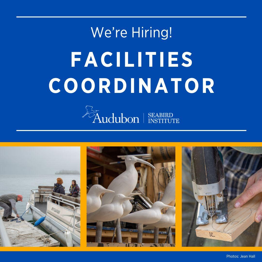 We are hiring a Facilities Coordinator