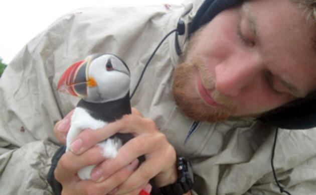 puffin cruises coquet island