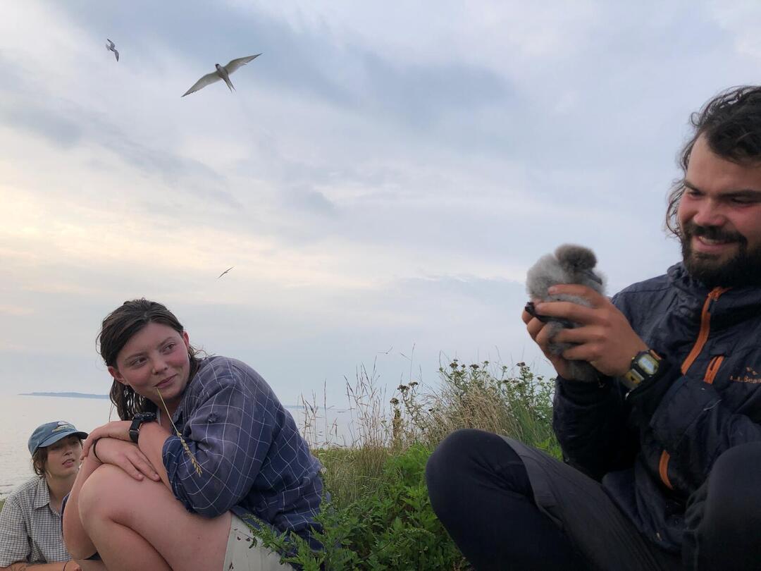 Seabird Island News - Vol. 10 - 30 July 2021 | Audubon Seabird Institute